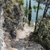 Gardasee-Landschaft (13)